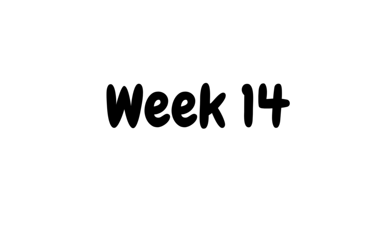 Week 14 activities
