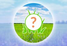 pokemon go spotlight hour