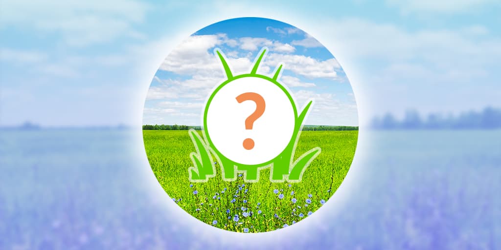 Pokémon GO Spotlight Hour Returns: 1 Major Change & Guide 1 pokemon go spotlight hour