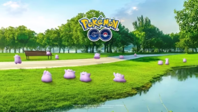 Current Ditto Disguises