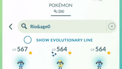 Riolu Hatch Day Recap 11 Riolu Hatch Day Recap