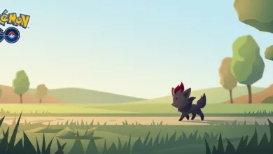 Zorua Community Day Recap October 2026